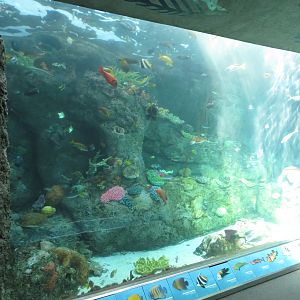 Underwater Tunnel