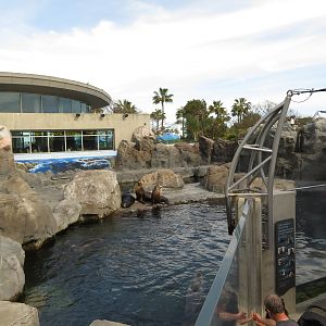 Seal/Sea Lion Exhibit