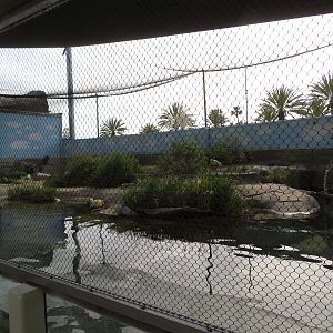 Shorebird Aviary