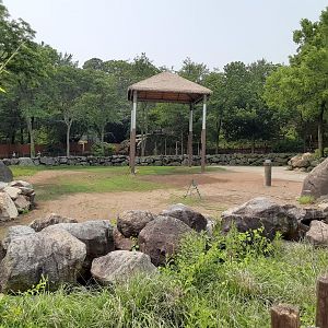 Giraffe Exhibit- New Shade Structure