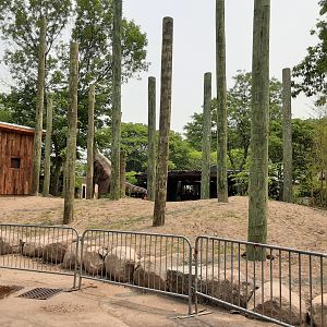 New Aviary Construction