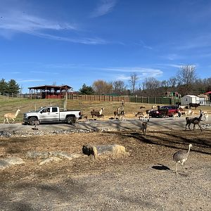 View of Safari Park Entrance