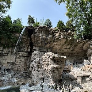 Humboldt Haven — Penguin & Puffin Coast