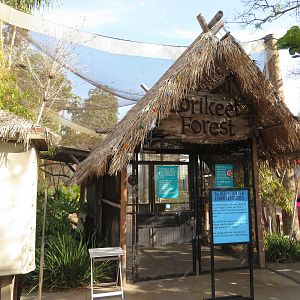 Lorikeet Forest (closed)