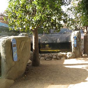 Rainbow Trout Exhibits