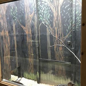 Griggs Learning Center - European Ferret Exhibit