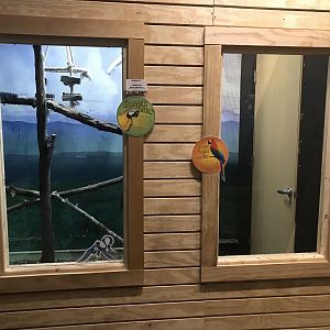 Griggs Learning Center - New Green-Winged Macaw/Blue & Gold Macaw Exhibit