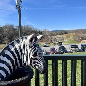 Zoo Art.  Same trash bin can be found at Gulf Breeze Zoo sister facility to VSP