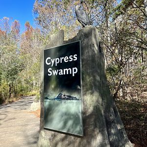 Cypress Swamp Exhibit