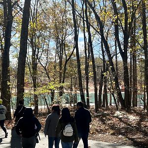 Zoo Path near Asia Expansion