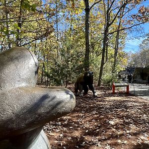 Native American Inspired Zoo Art