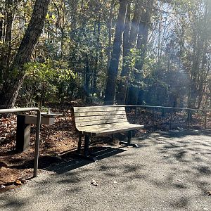 Trailside Bench