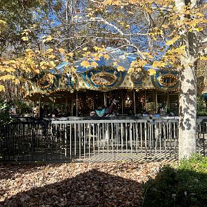 Carousel