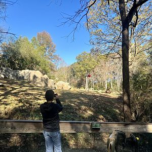 Giraffe and Zebra Exhibit