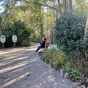 Bit of solitude and meditative Elephant Viewing