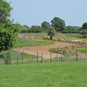 Progress on Sulawesi Macaque/Anoa area