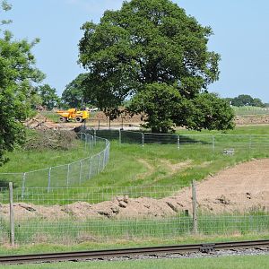 Progress on Sulawesi Macaque/Anoa area