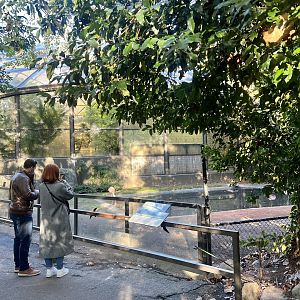 Couple viewing Flamingos