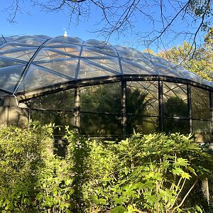 Walkthrough Aviary (closed)