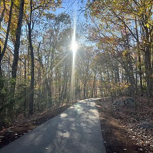 Zoo Path back toward the North American Exhibits