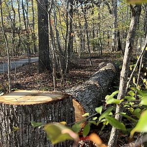 I wonder if it made a sound