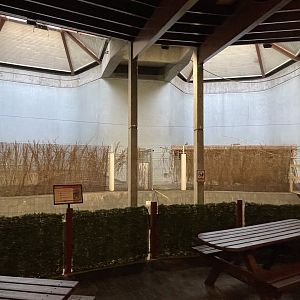 Babirusa indoor enclosure