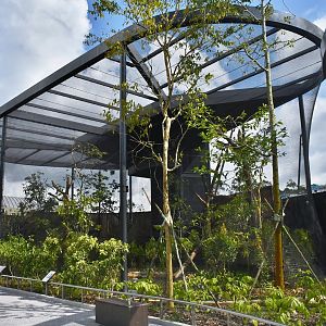 Philippine Eagle aviary