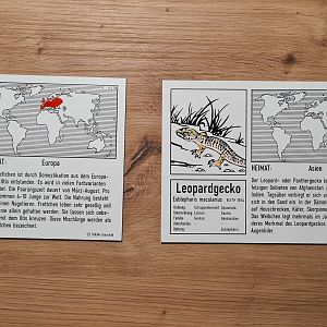 Finally got the "Tukan Zooschilder" for my pets