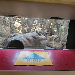 Reptile Discovery Center - New Exhibit