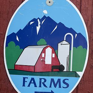Matanuska-Susitna Valley Farms Logo