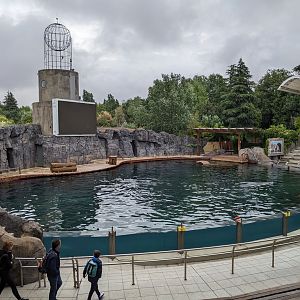 Sea lion Pool/Show Arena