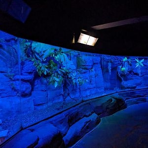 Nocturnal Enclosure example
