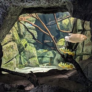 Underground Exhibits