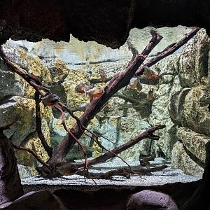 Underground Exhibits