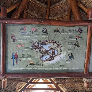 Aviarius - Costa Maya - Map