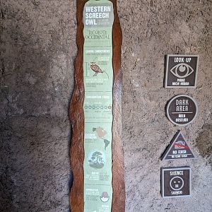 Aviarius - Costa Maya - Western Screech owl sign