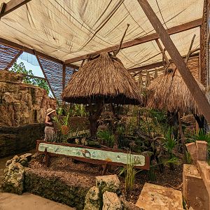 Aviarius - Costa Maya - second aviary