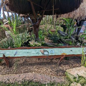 Aviarius - Costa Maya - Javan Sparrow sign