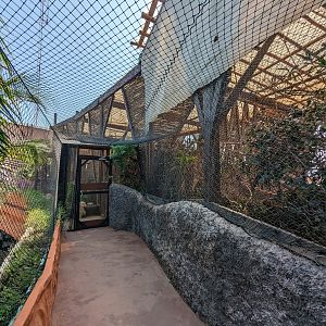 Aviarius - Costa Maya - second aviary exit