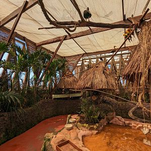 Aviarius - Costa Maya - second aviary