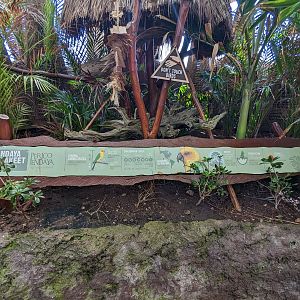 Aviarius - Costa Maya - second aviary sign