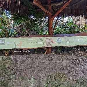 Aviarius - Costa Maya - second aviary sign