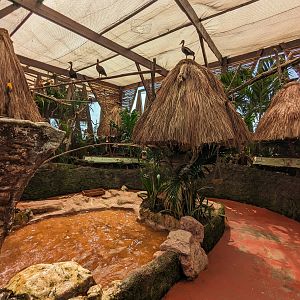 Aviarius - Costa Maya - second aviary