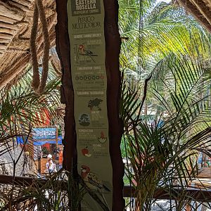 Aviarius - Costa Maya - Eastern rosella sign