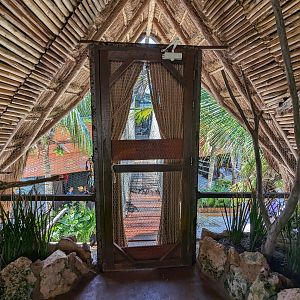 Aviarius - Costa Maya - Eastern rosella aviary