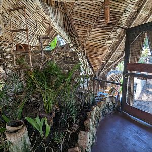 Aviarius - Costa Maya - Eastern rosella aviary