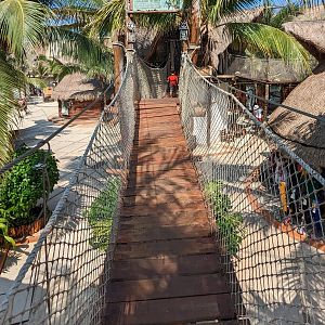 Aviarius - Costa Maya - Eastern rosella aviary exit bridge