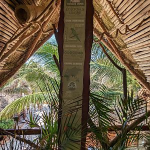 Aviarius - Costa Maya - Kramer Parrot/Collard Parakeet sign