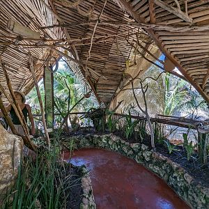Aviarius - Costa Maya - Kramer Parrot/Collard Parakeet aviary