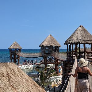 Aviarius - Costa Maya - Kramer Parrot/Collard Parakeet aviary exit and bridges